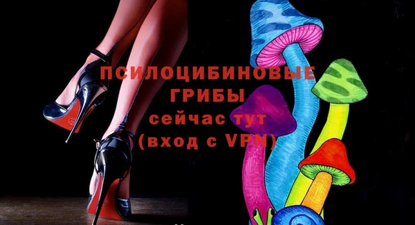 PSILOCYBIN Верхний Тагил