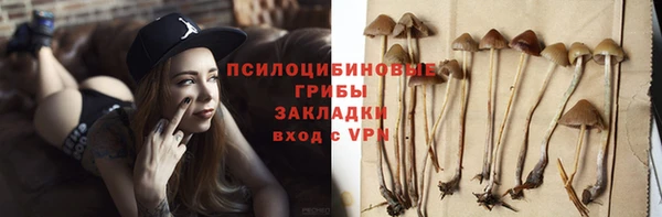PSILOCYBIN Верхний Тагил